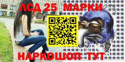 гидра Ставрополь