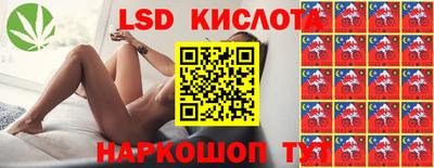 гидра Ставрополь