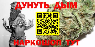 гидра Ставрополь