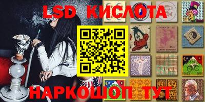 гидра Ставрополь