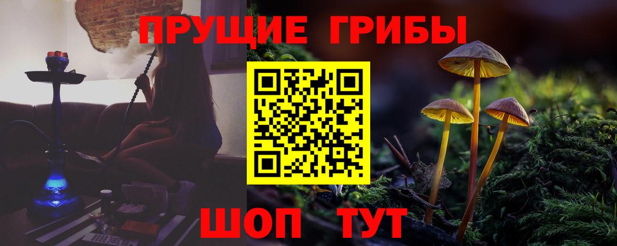 Галлюциногенные грибы MAGIC MUSHROOMS Новороссийск